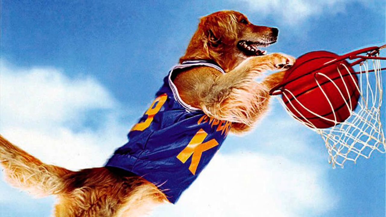 Air Bud: El fichaje de la liga : Foto