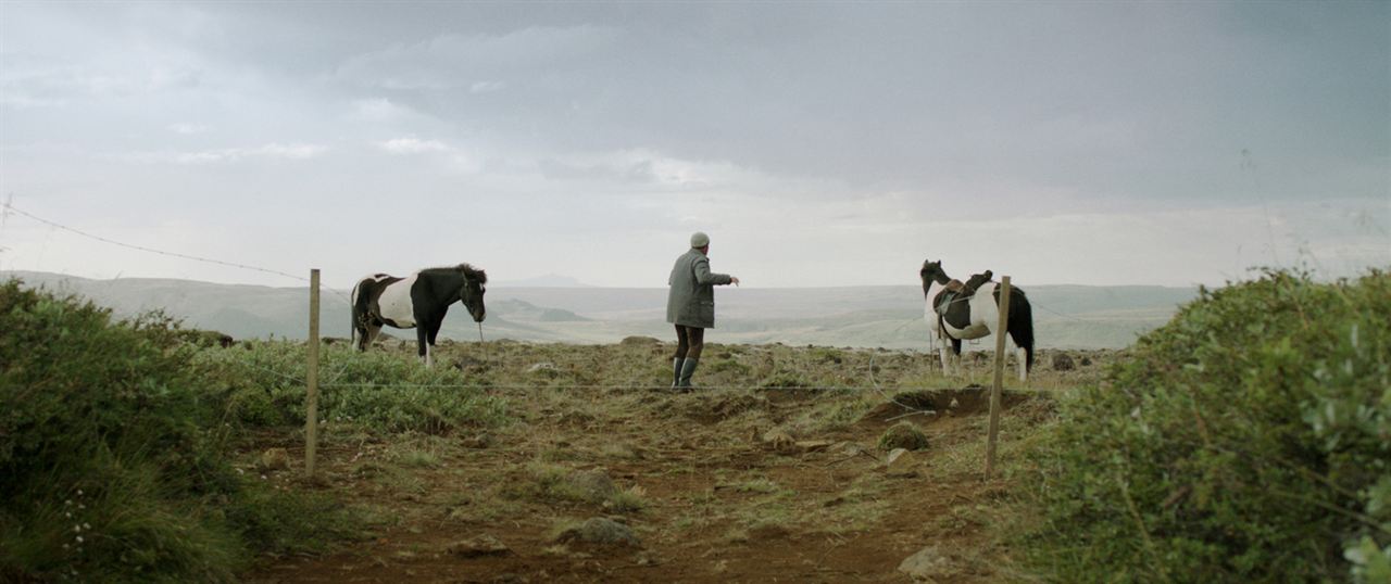 De caballos y hombres : Foto