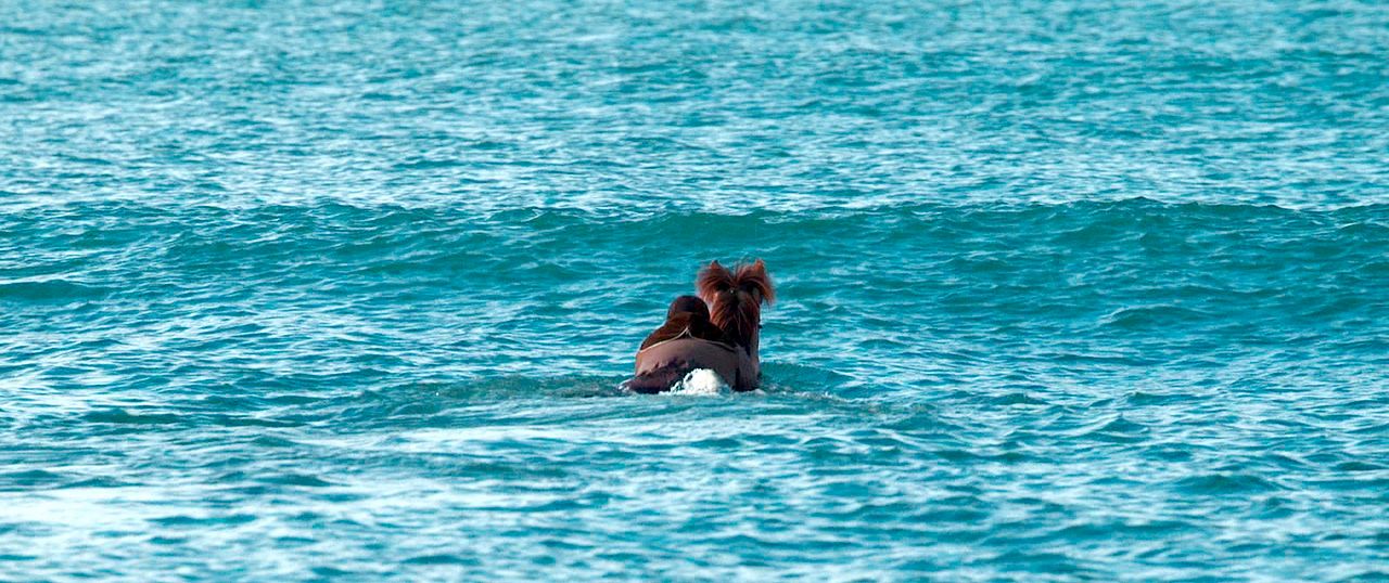 De caballos y hombres : Foto Steinn Ármann Magnússon