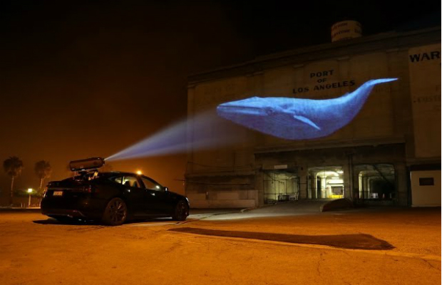 Racing Extinction: Cuenta Regresiva : Foto