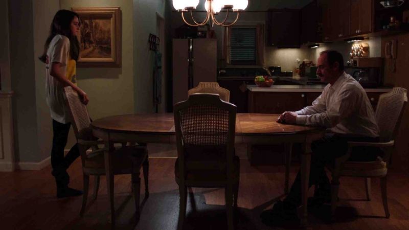 White Bird in a Blizzard : Foto