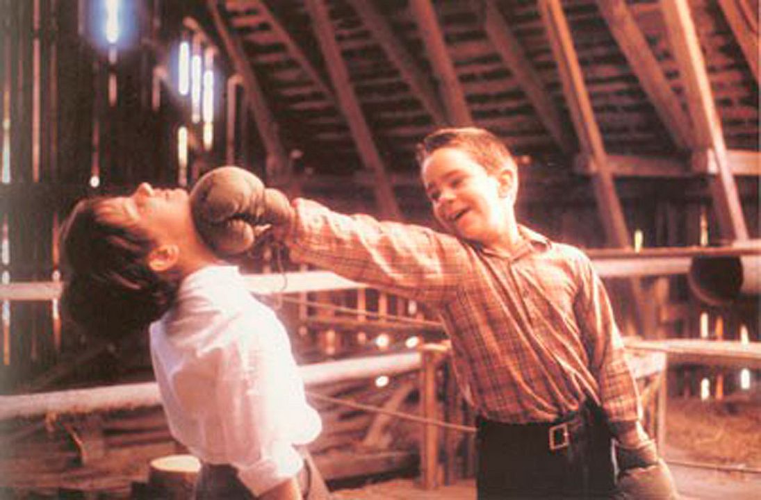 Mi vida como un perro : Foto