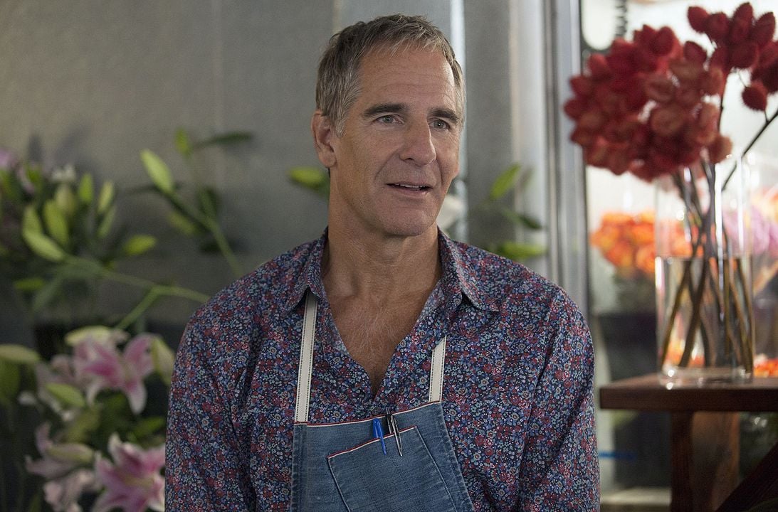 Looking : Foto Scott Bakula