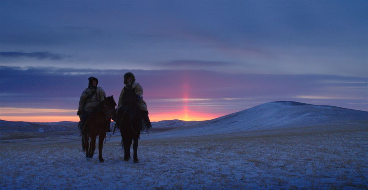 El último lobo (Wolf Totem) : Foto Feng Shaofeng