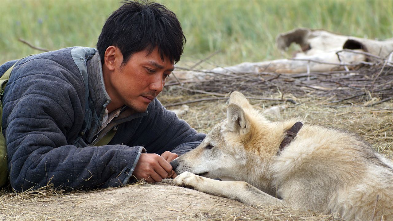 El último lobo (Wolf Totem) : Foto Feng Shaofeng