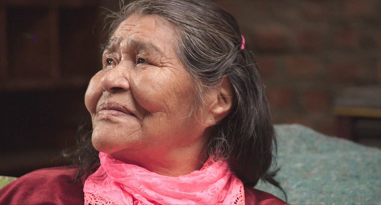 El Botón de Nácar : Foto