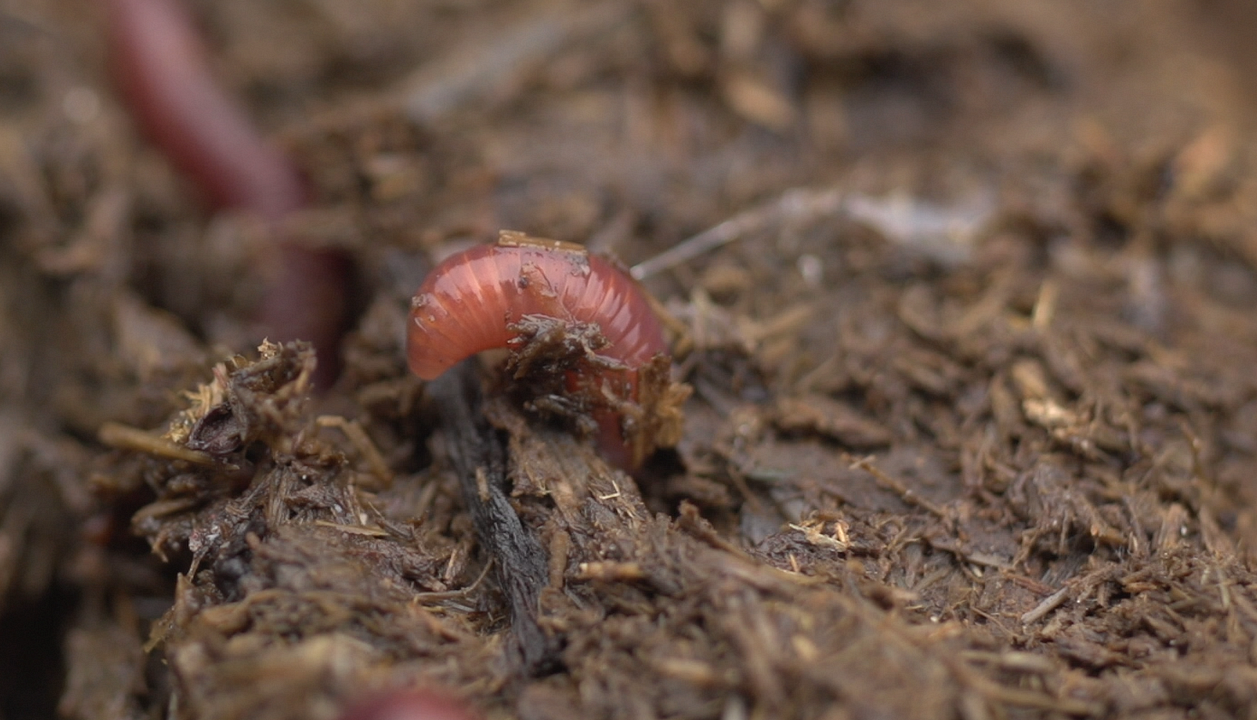 Vendrán tiempos mejores : Foto