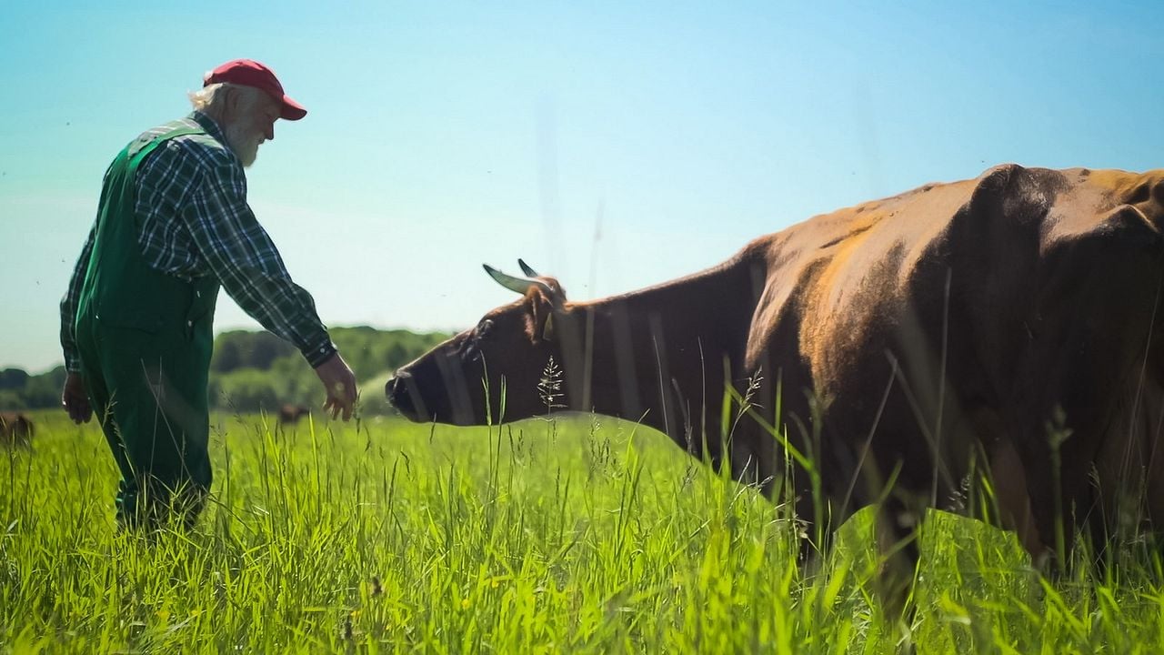 Vendrán tiempos mejores : Foto