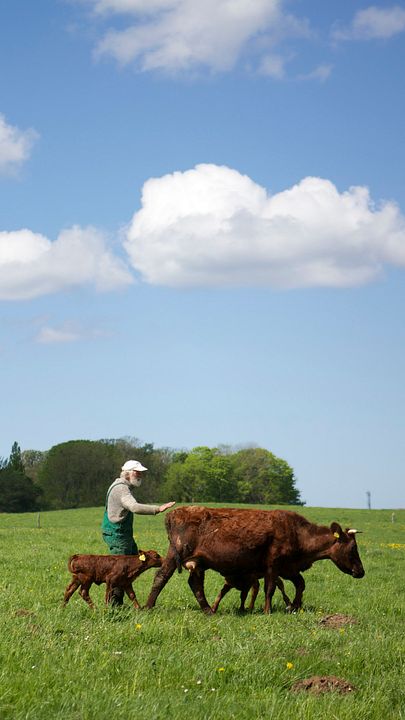 Vendrán tiempos mejores : Foto
