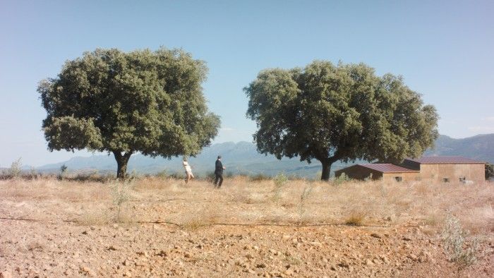 Der Geldkomplex (El complejo de dinero) : Foto