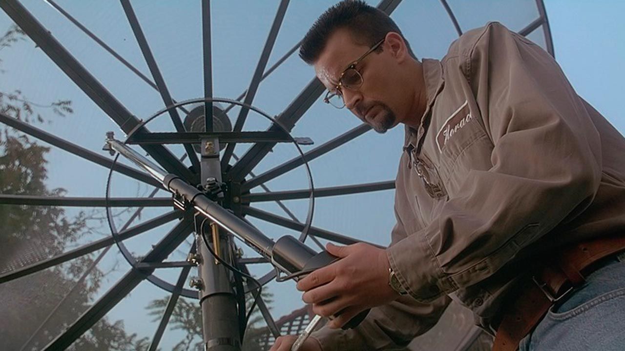 ¡Han llegado! : Foto