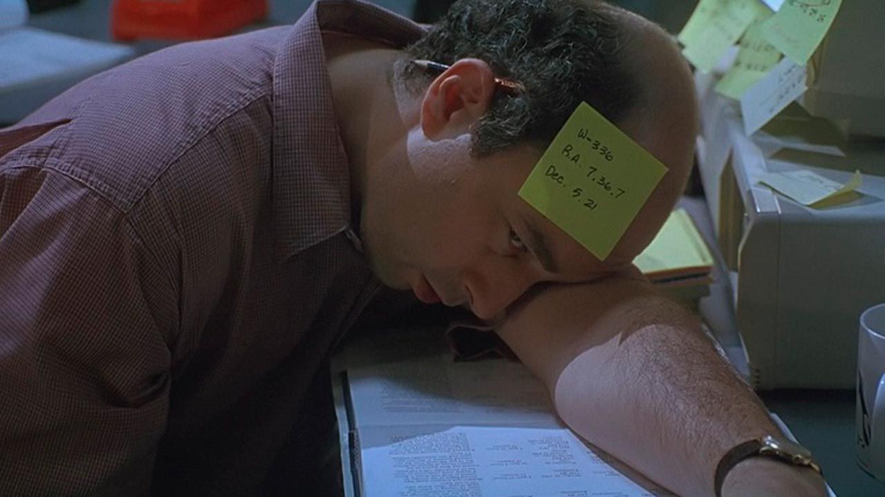 ¡Han llegado! : Foto