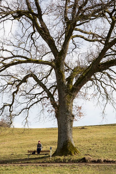 Foto Josephine Ehlert