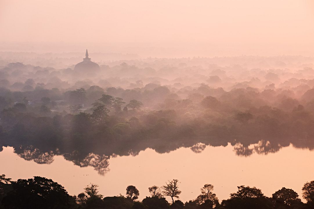 El reino de los monos : Foto