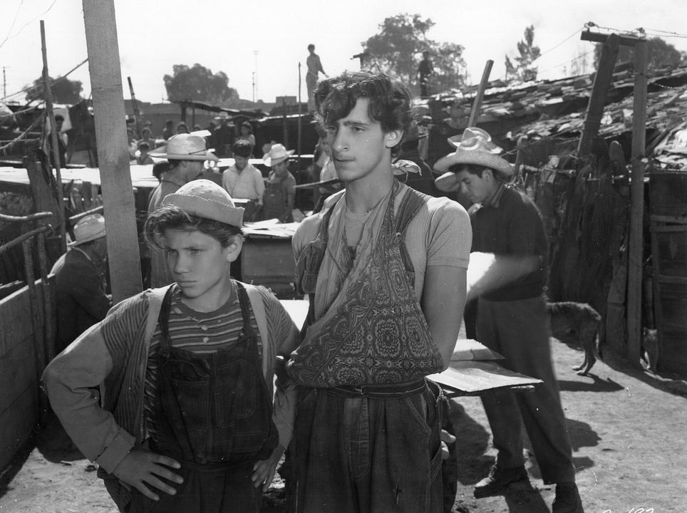 Los Olvidados : Foto