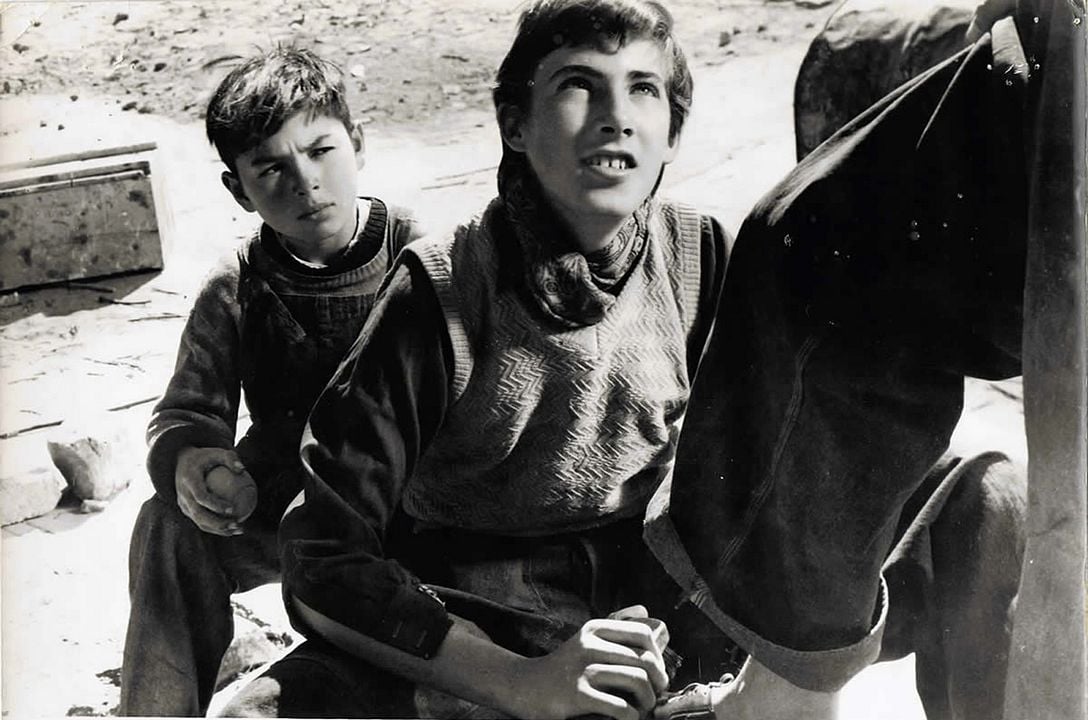 Los Olvidados : Foto