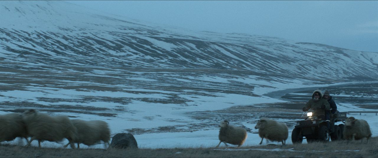 Rams (El valle de los carneros) : Foto
