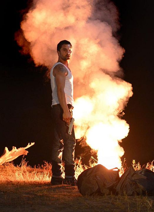 Perros rabiosos : Foto