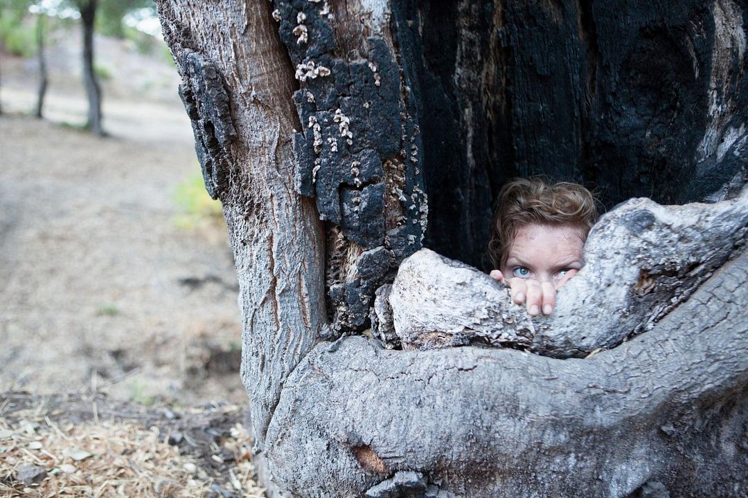 Supervivencia (Preservation) : Foto