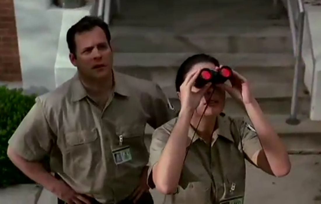 Alien vs alien : Foto