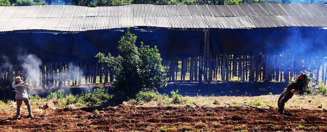 Ardor. La justicia de los débiles : Foto