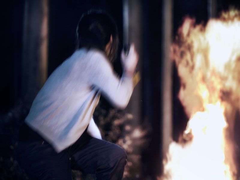 Lemon Tree Passage : Foto