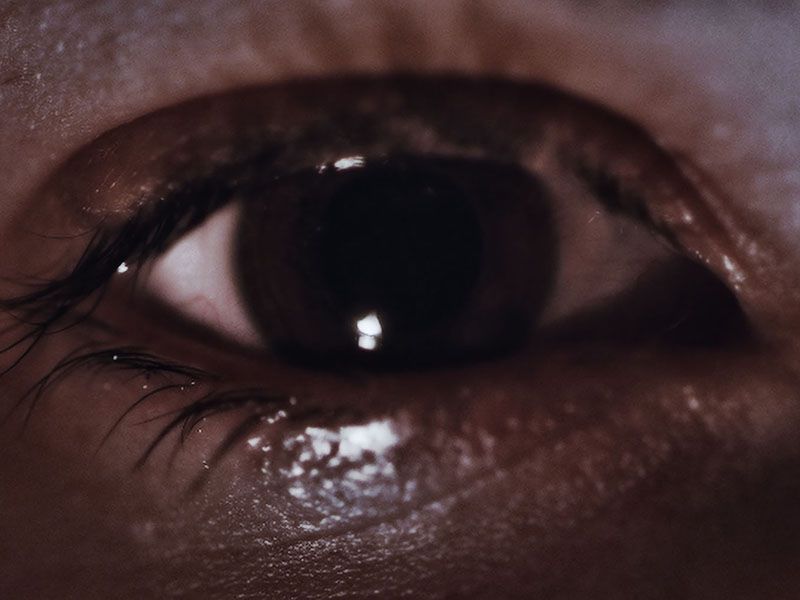 Lemon Tree Passage : Foto