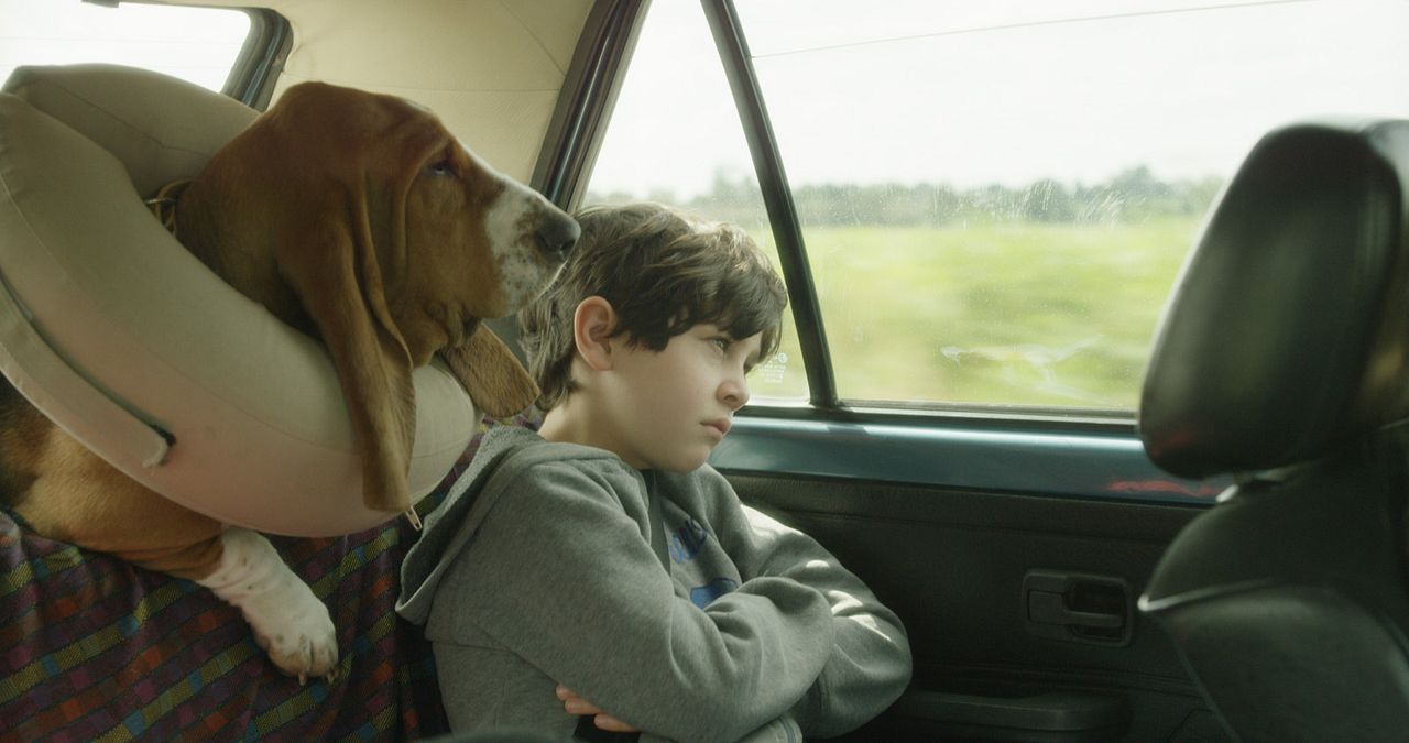 Las sillas musicales : Foto