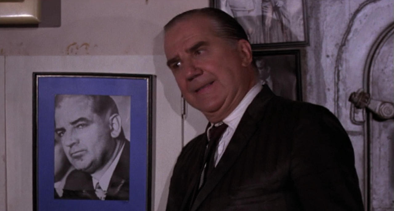 Loca noche de luna llena : Foto