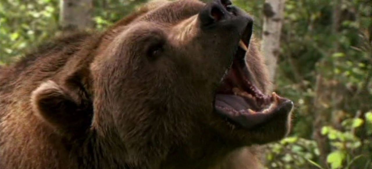 Grizzly Rage : Foto