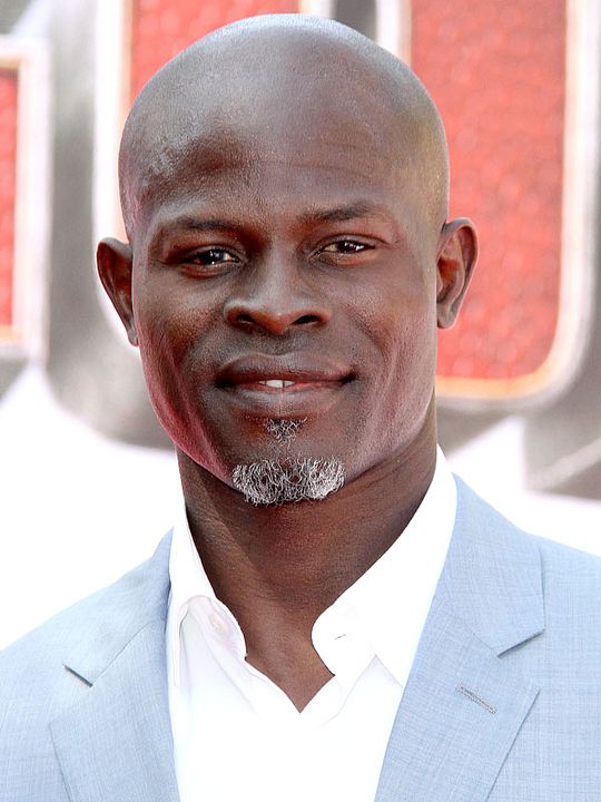 Cartel Djimon Hounsou