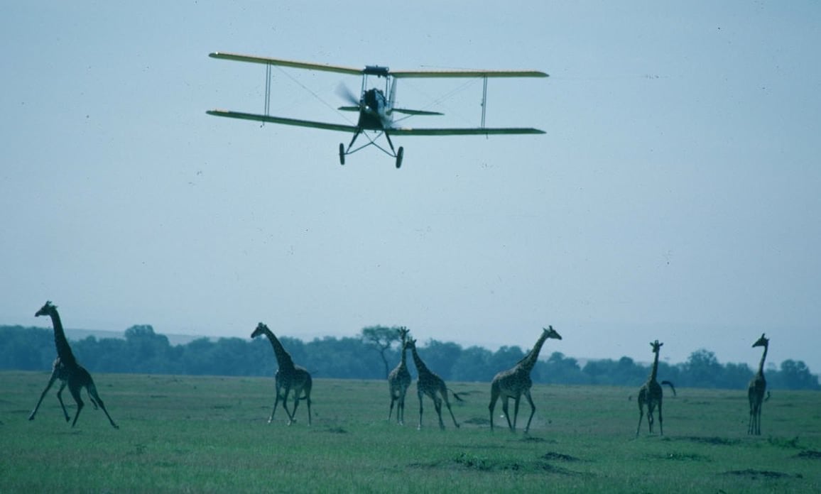 Memorias de África : Foto