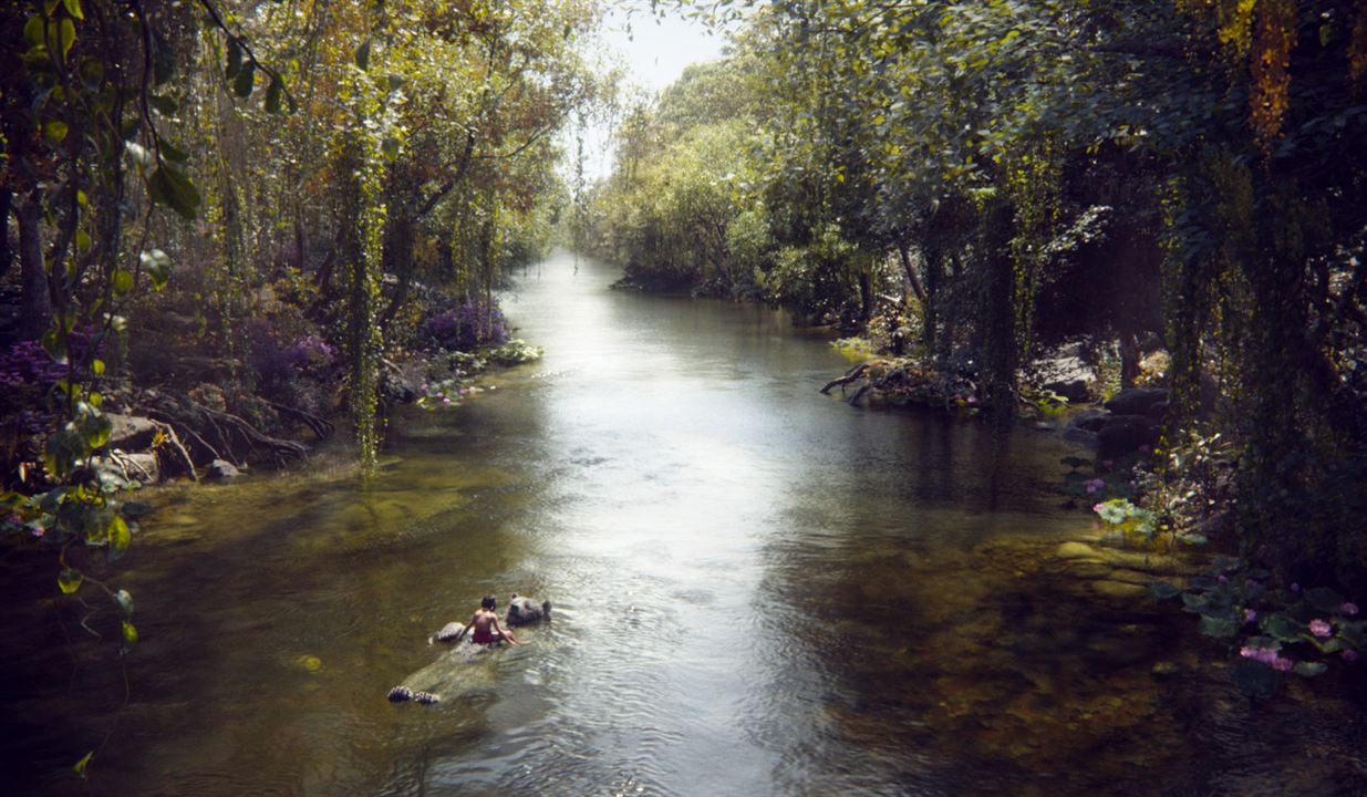 El libro de la selva : Foto Neel Sethi