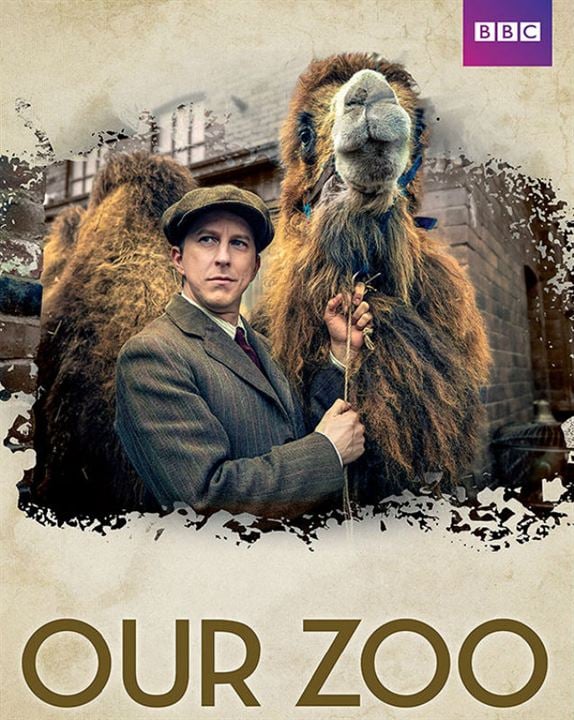 Our Zoo : Cartel