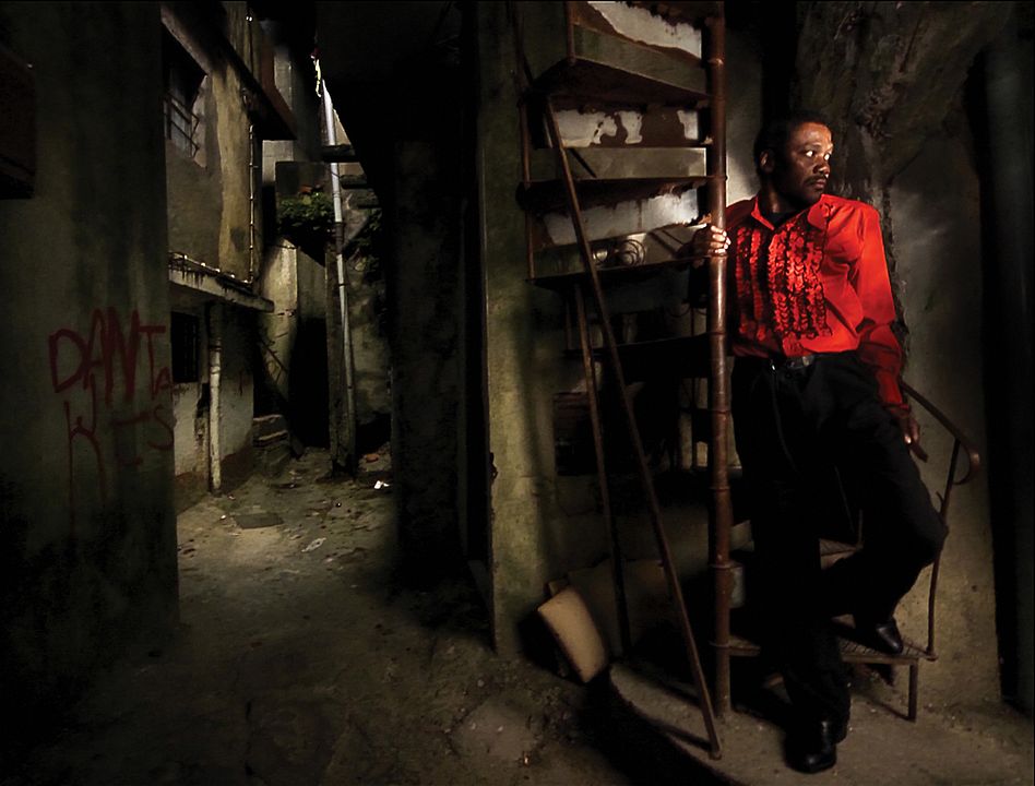 Caballo dinero : Foto