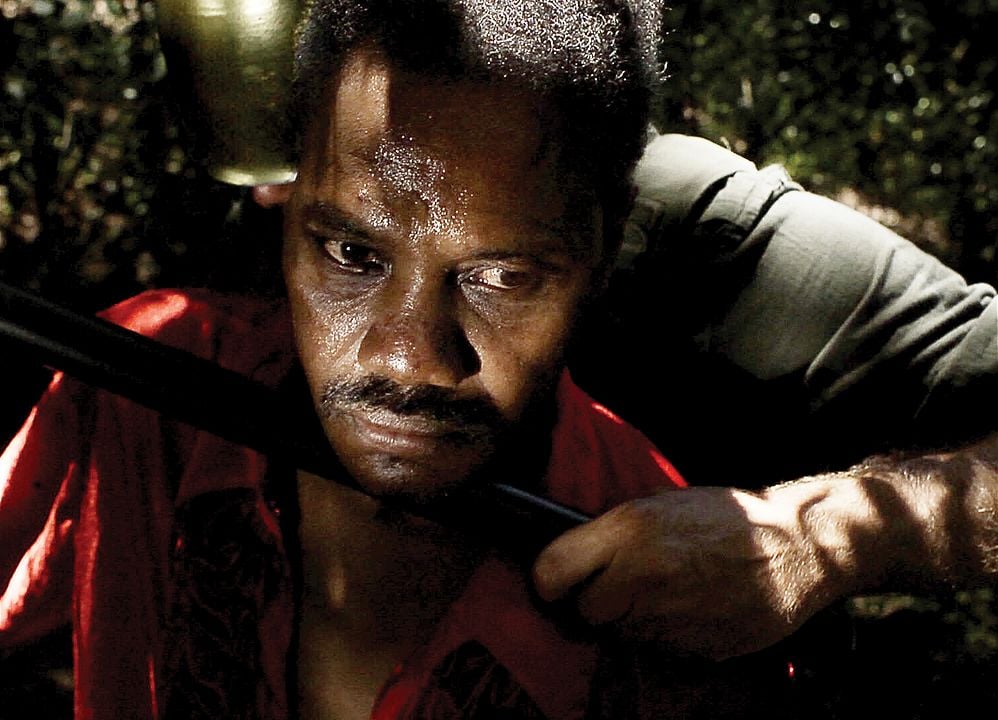 Caballo dinero : Foto