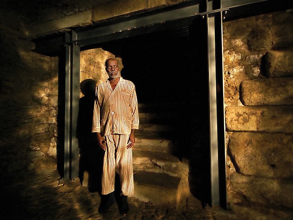 Caballo dinero : Foto