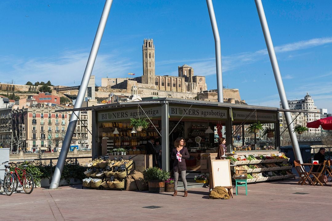 Segundo origen : Foto