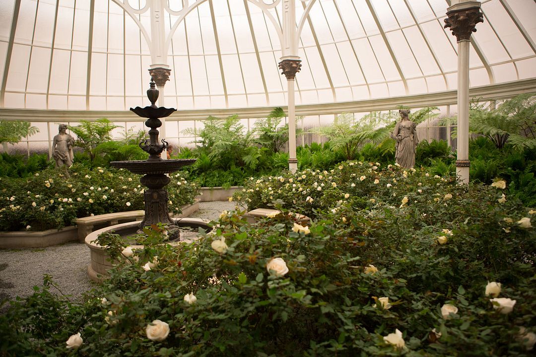 Los juegos del hambre: Sinsajo - Parte 2 : Foto