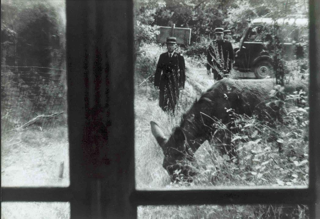 Al azar, Baltasar : Foto