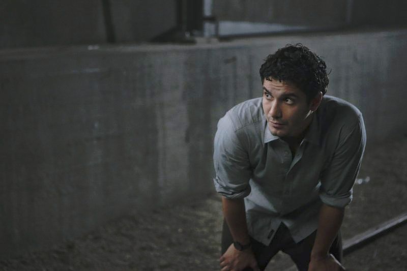 Scorpion : Foto Elyes Gabel