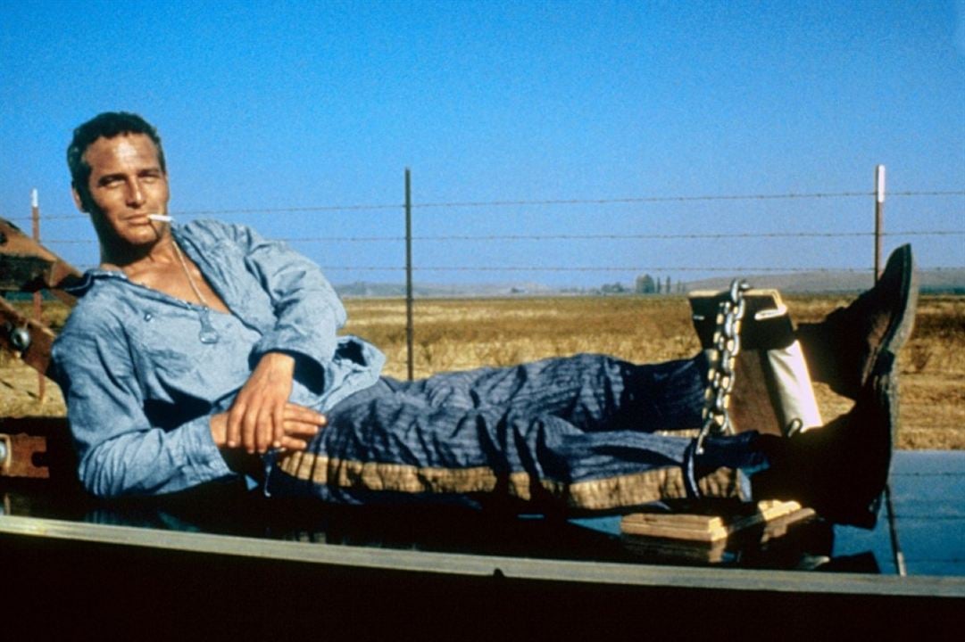 La leyenda del indomable : Foto Paul Newman