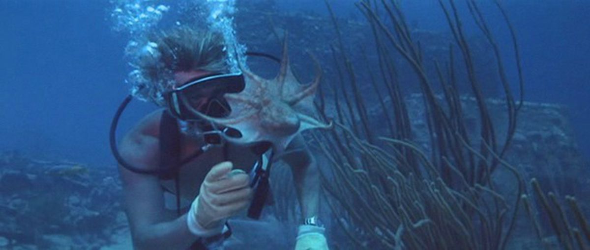 Abismo : Foto Jacqueline Bisset