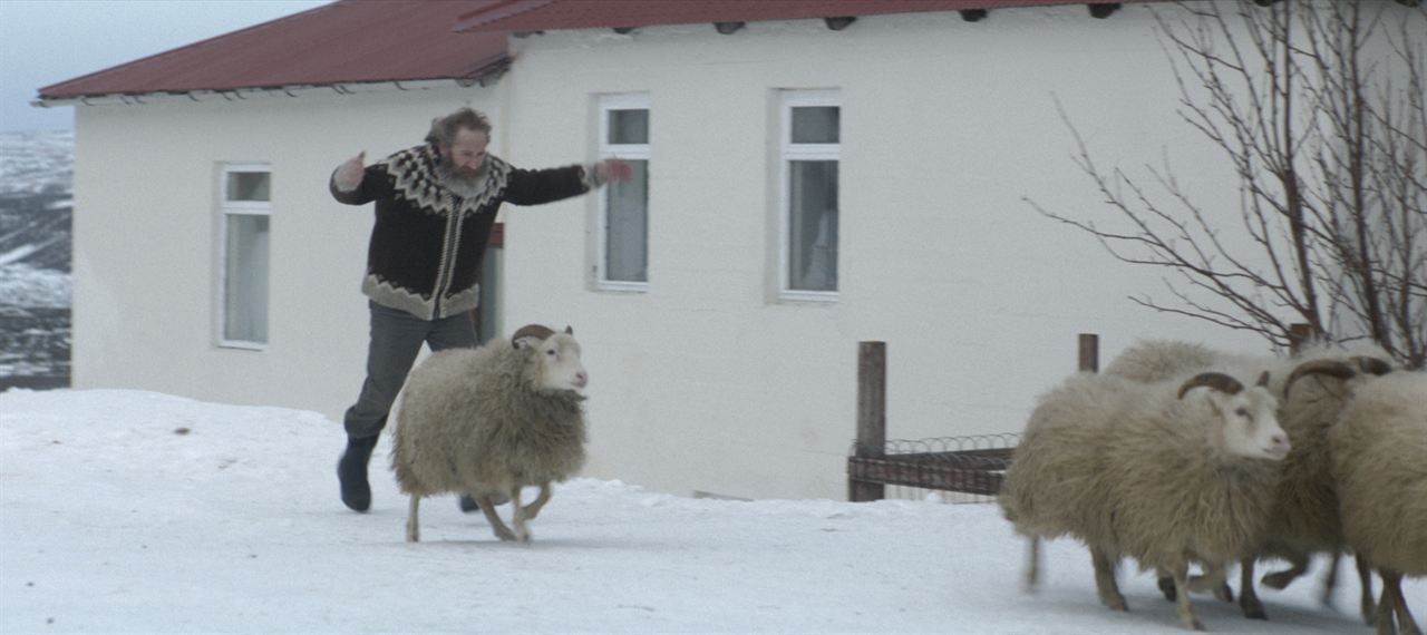 Rams (El valle de los carneros) : Foto Sigurður Sigurjónsson