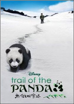 La senda del panda : Cartel