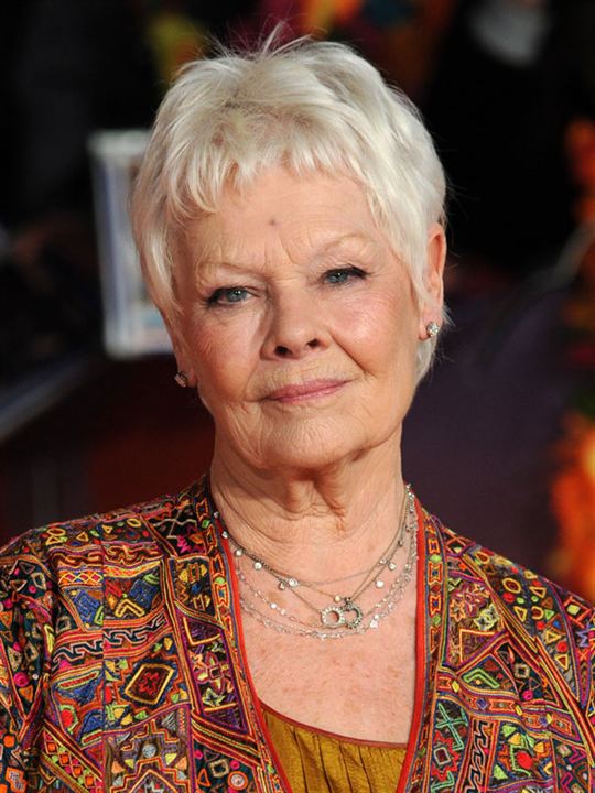 Cartel Judi Dench