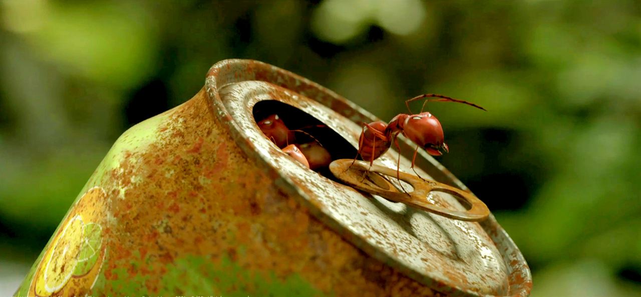 Minúsculos: El valle de las hormigas perdidas : Foto