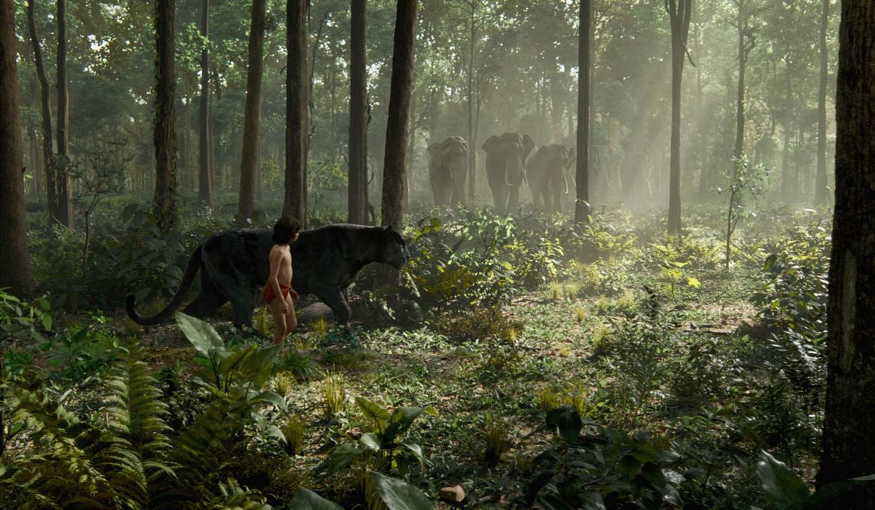 El libro de la selva : Foto Neel Sethi
