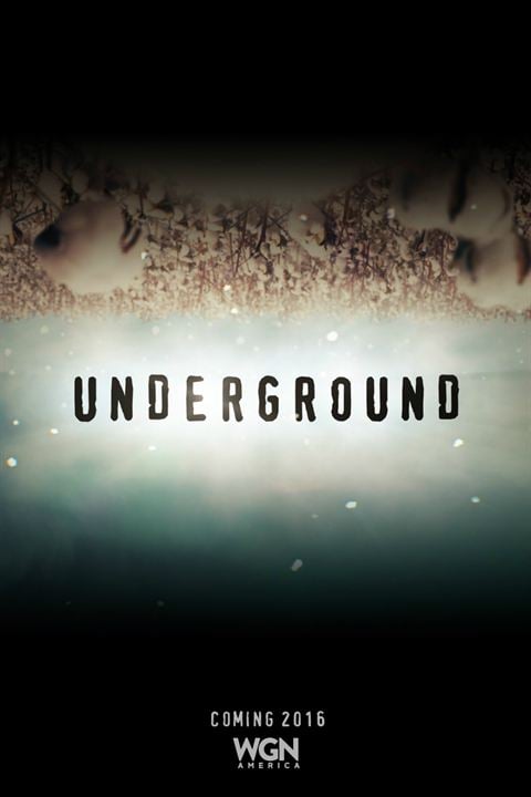 Underground : Cartel