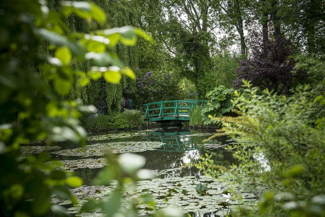 Pintando el jardín moderno: De Monet a Matisse : Foto